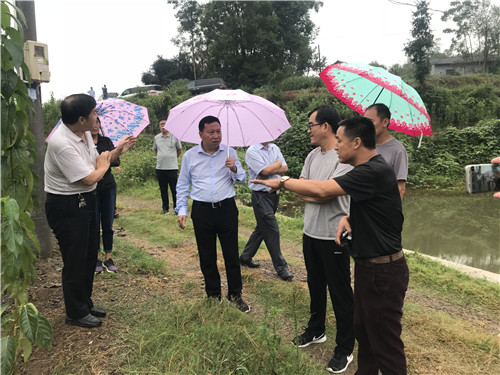 慈利縣九九農(nóng)業(yè)開(kāi)發(fā)有限公司,張家界粘木苗銷售,杜仲種植,苗木銷售 慈利縣九九農(nóng)業(yè)開(kāi)發(fā)有限公司,張家界粘木苗銷售,杜仲種植,苗木銷售
